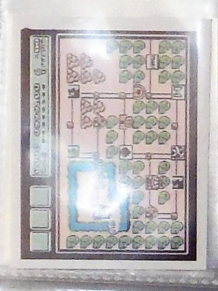 20240809002234-49b418a4 copy 2(27)