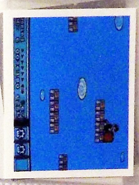 20240809002234-49b418a4 copy 2(25)